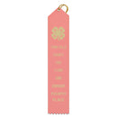 2" x 10" Custom Point Top Award Ribbon