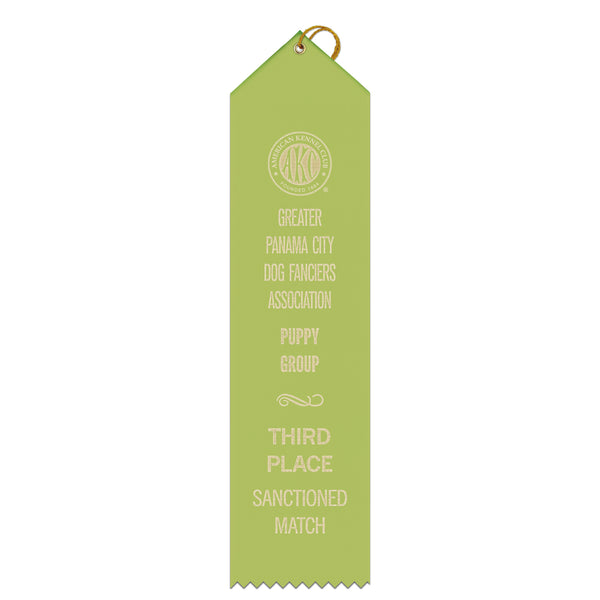 3" x 12" Custom Point Top Award Ribbon