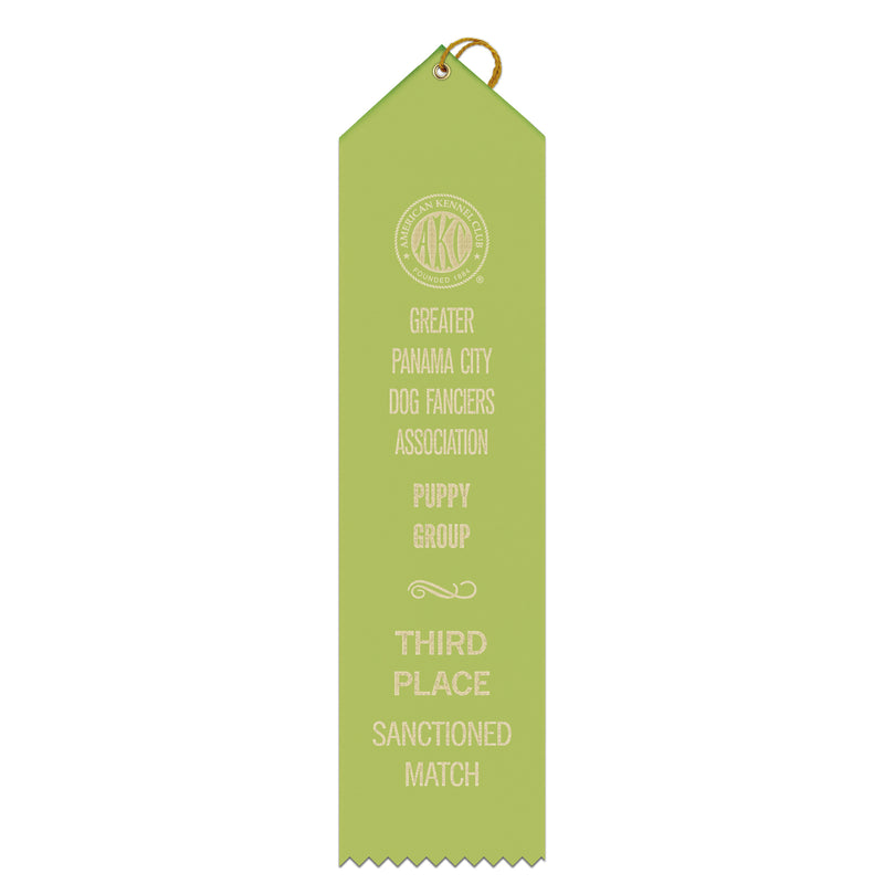 3" x 12" Custom Point Top Award Ribbon