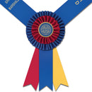 Custom Knighton Award Sash