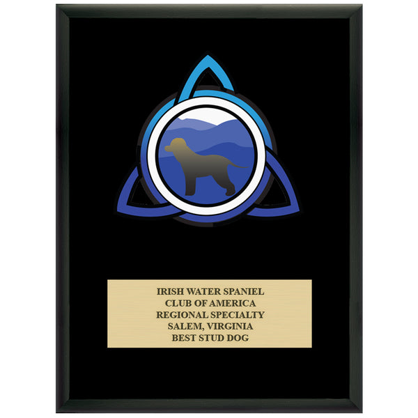 9" x 12" Custom Full Color Black Plaque With Engraved Plate