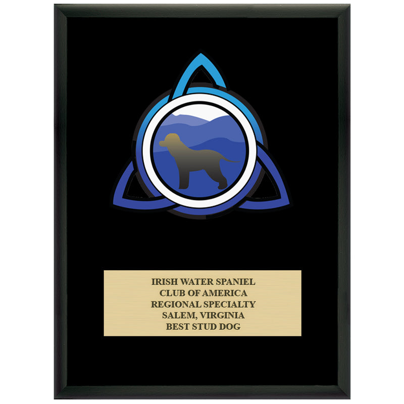9" x 12" Custom Full Color Black Plaque With Engraved Plate
