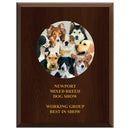 7" x 9" Custom Cherry Plaque With Full Color Imprint
