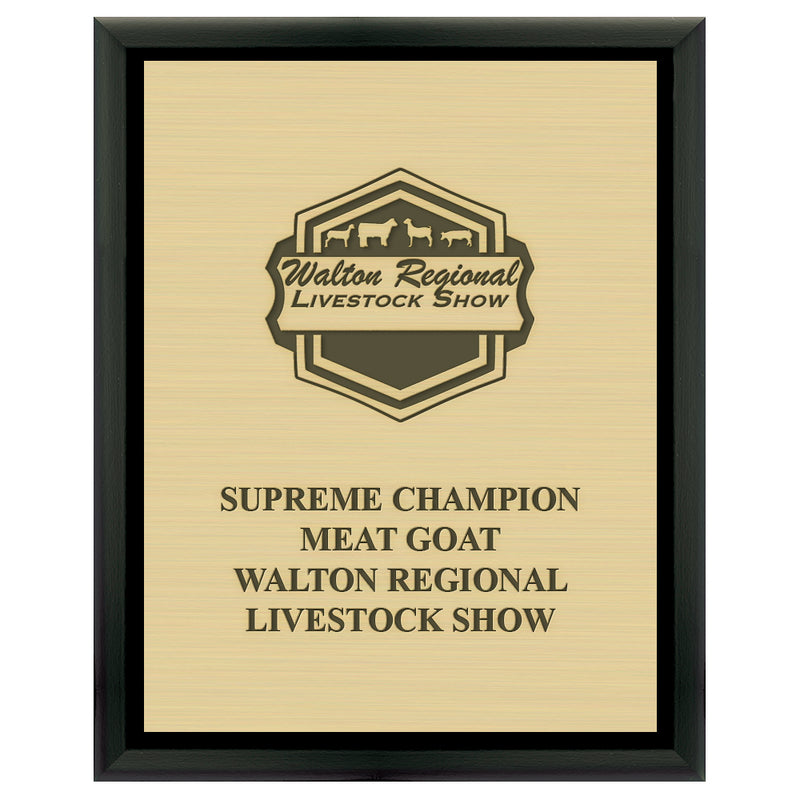 9" x 12"  Award Plaque - Black w/ Engraved Plate