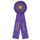 Ideal 2 Rosette Award Ribbon