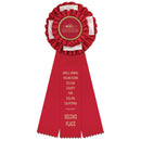 Birmingham 3 Rosette Award Ribbon