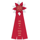 Wales 3 Rosette Award Ribbon