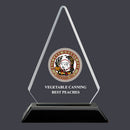 6-1/4" Custom Full Color Arrowhead Acrylic Award