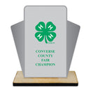 5" Custom Shape Birchwood Award Trophy With Natural Birchwood Base
