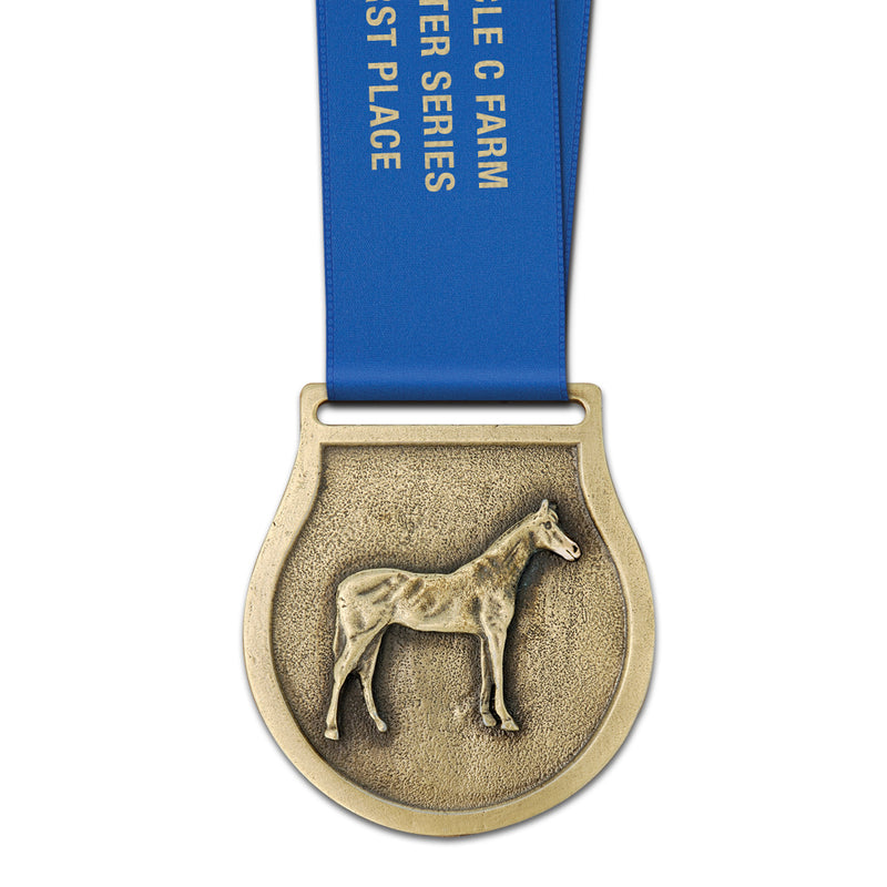 2-1/2" VX Award Medal With Satin Neck Ribbon