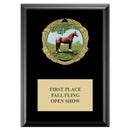 5" x 7"  XBX Medal Award Plaque - Black Finish