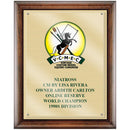 8" x 10"  Full Color Award Plaque - Espresso w/ Gold Plate & Acrylic Overlay
