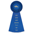 Newport 3 Rosette Award Ribbon