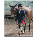11" x 14" Custom Award Canvas Print Panels