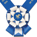 Custom Doncaster Award Sash