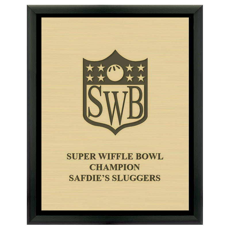 9" x 12"  Award Plaque - Black w/ Engraved Plate