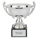 11-1/2" Award Trophy Cup With Attached Marble Base