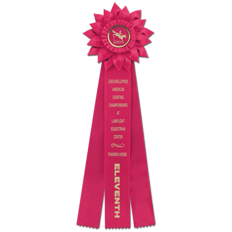 Sunburst 3 Rosette Award Ribbon