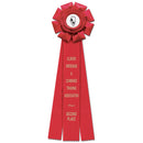 Wellfleet 3 Rosette Award Ribbon