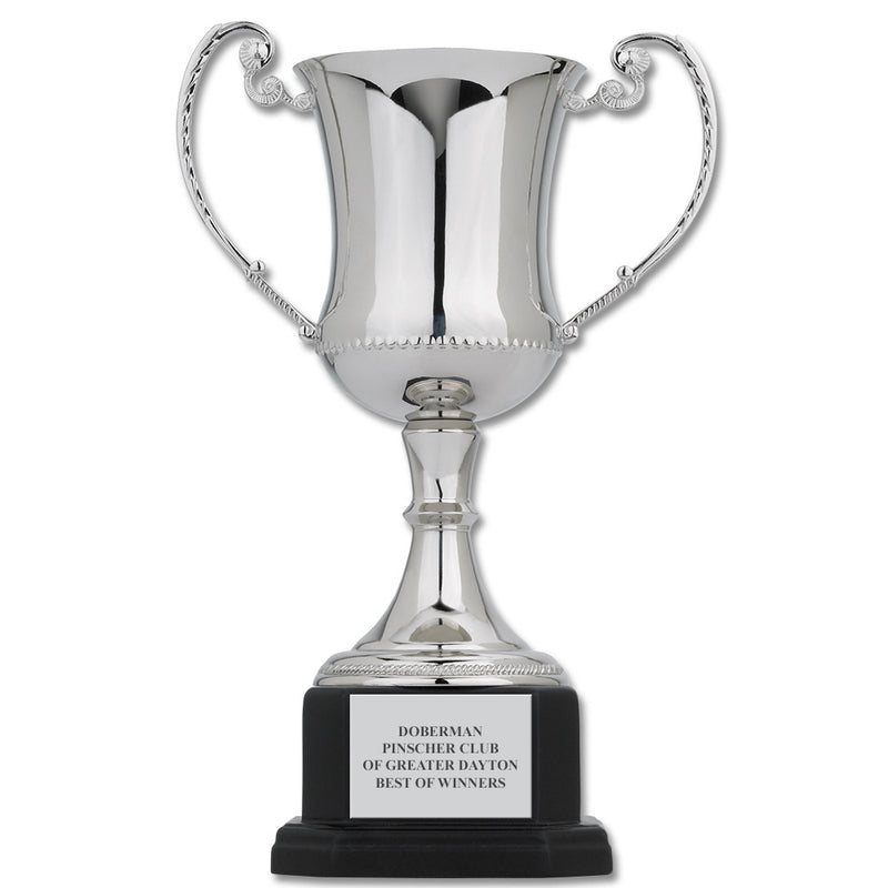 11" Award Trophy Cup With Attached Base