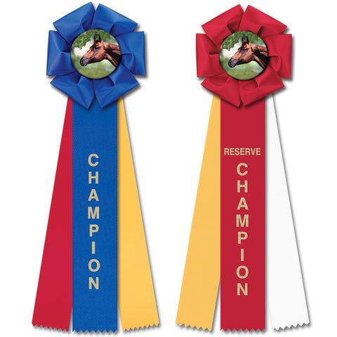 Stock Beauty Rosette Award Ribbon