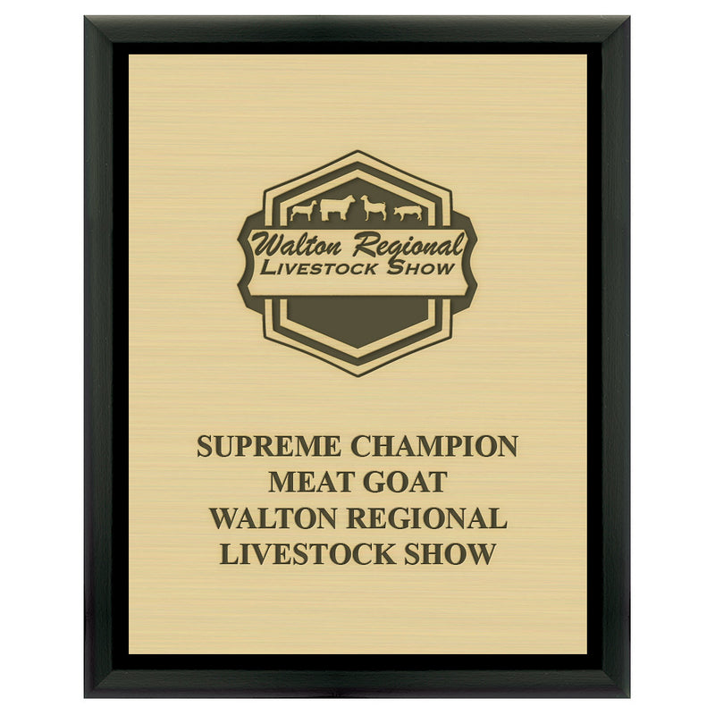 9" x 12"  Award Plaque - Black w/ Engraved Plate