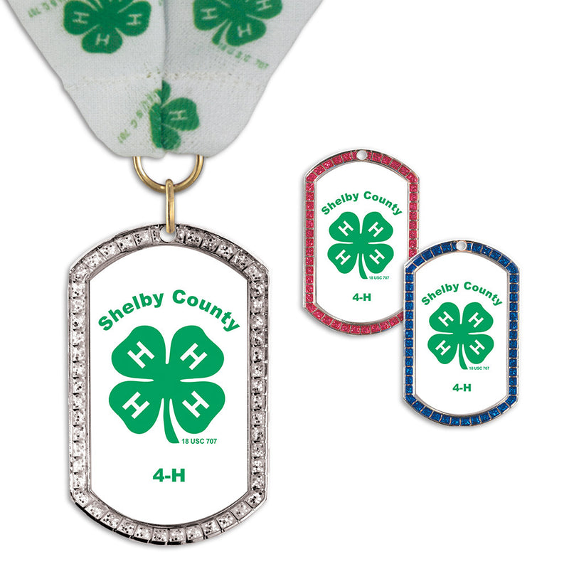 1-3/8" x 2-1/4"  Custom GEM Tag Award Medal w/ Millennium Neck Ribbon