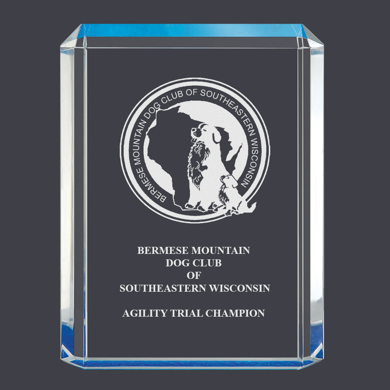 4-3/4" x 6-1/4" Custom Engraved Blue Shimmer Acrylic Award