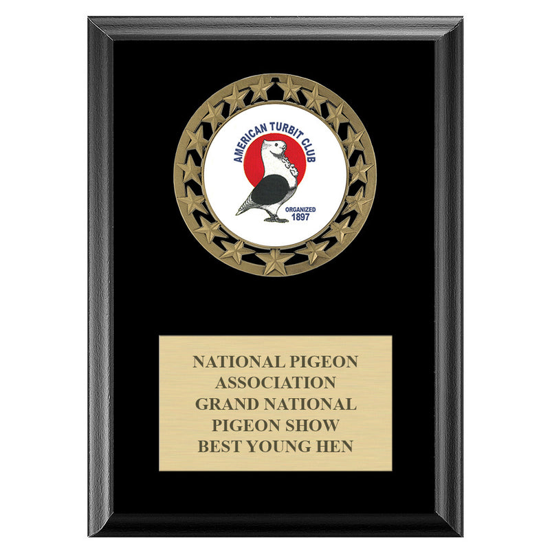 5" x 7" Custom RS14 Medal Black Plaque With Engraved Plate