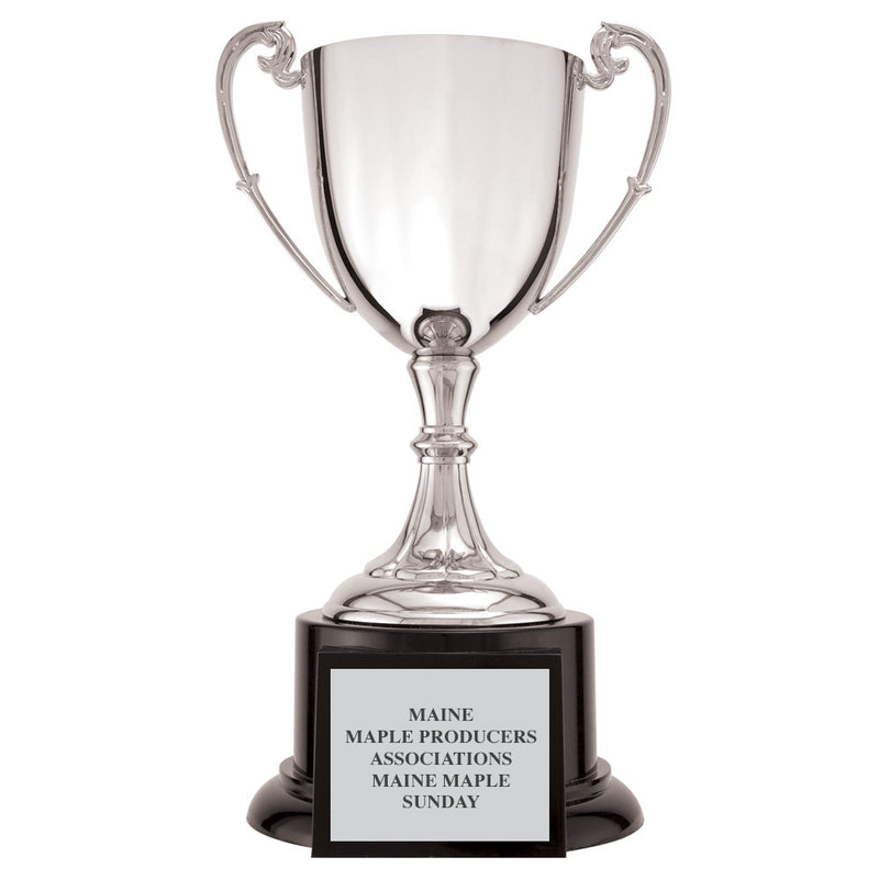 12-3/4" Loving Cup Award Trophy With Black Base