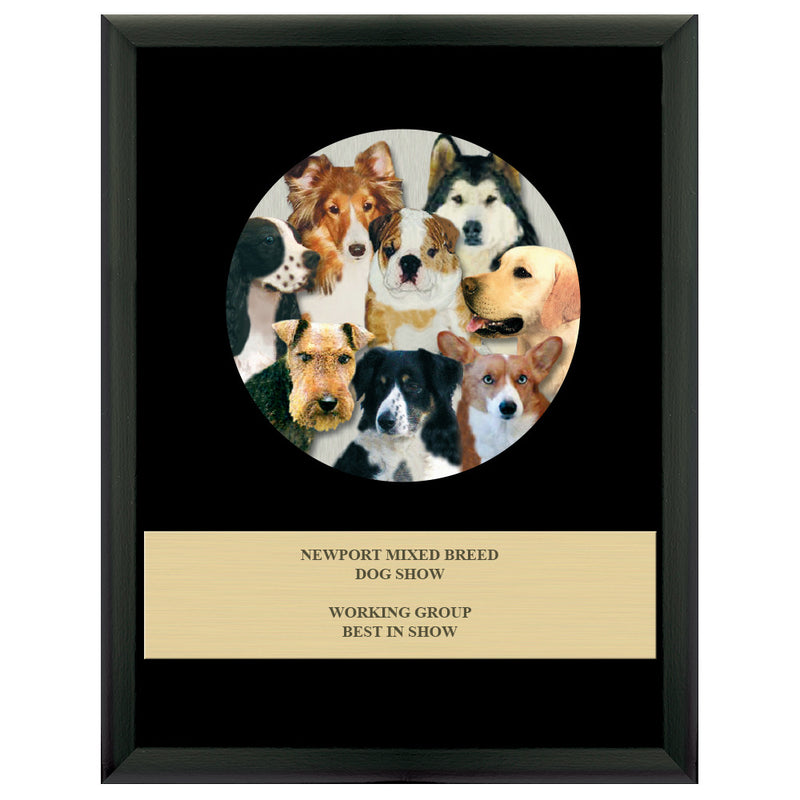 7" x 9" Custom Full Color Black Plaque With Engraved Plate