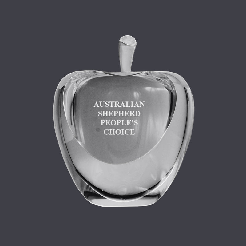 Optical Crystal Apple Award