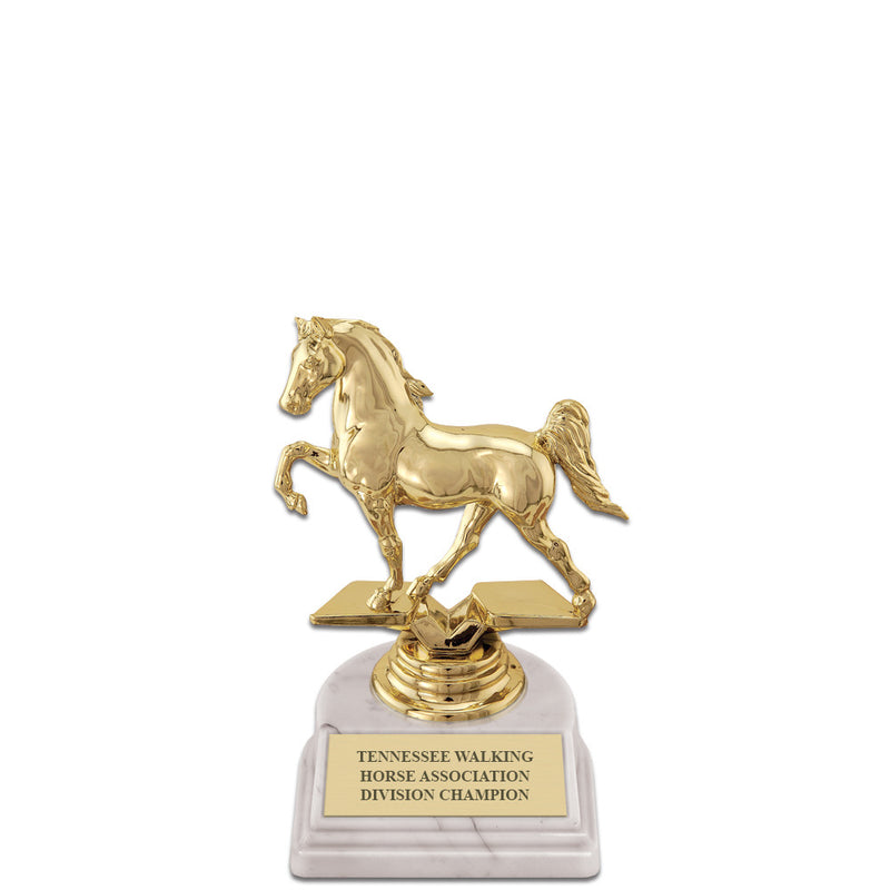 5-1/2" White Base Award Trophy