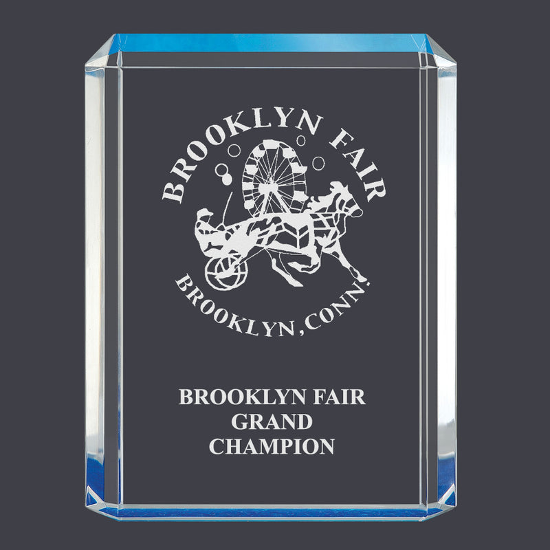 4-3/4" x 6-1/4" Custom Engraved Blue Shimmer Acrylic Award