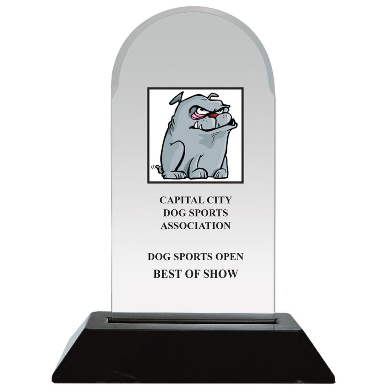 6-1/4" Custom Full Color Arch Acrylic Award