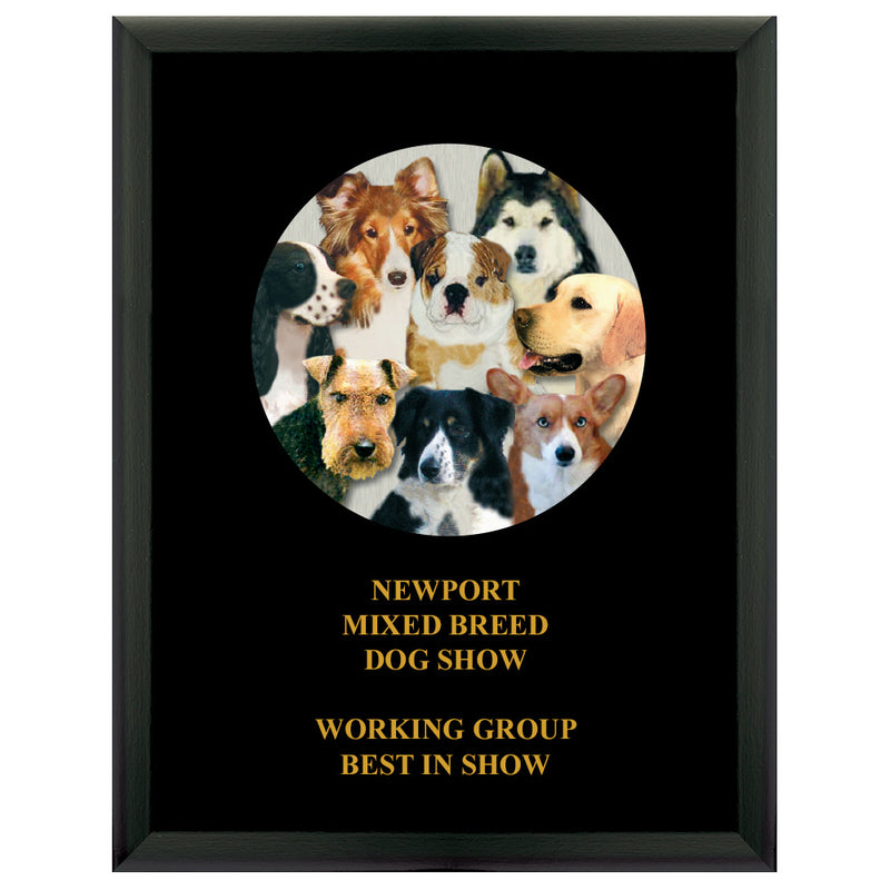 7" x 9" Custom Full Color Black Plaque With Imprint