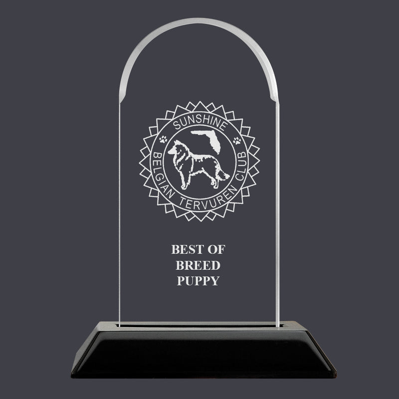 6-1/4" Custom Engraved Arch Acrylic Award