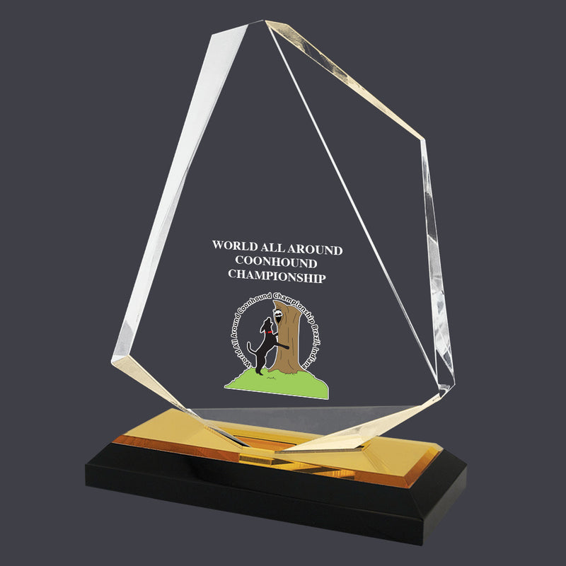 7" Custom Full Color Summit Acrylic Award