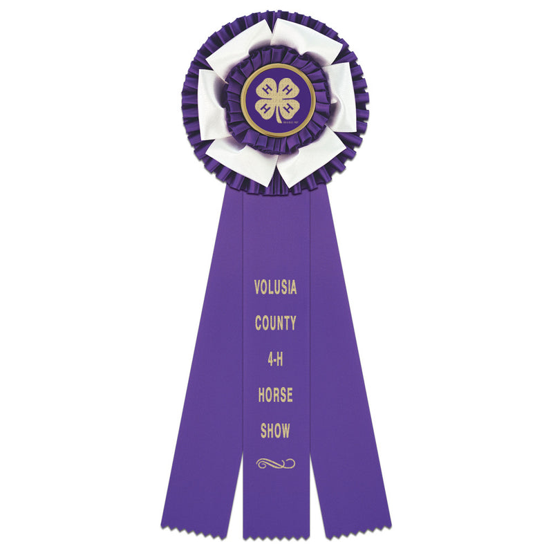 Dutchess 3 Rosette Award Ribbon