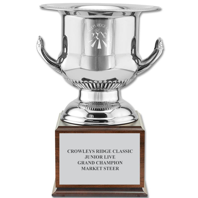 13-3/4" Wine Cooler Award Trophy With Cherry Base