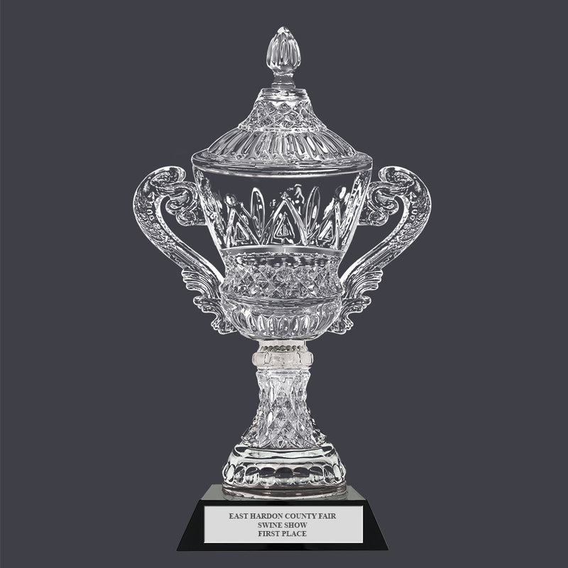 15-1/4" Custom Engraved Devon Optical Trophy With Attached Base