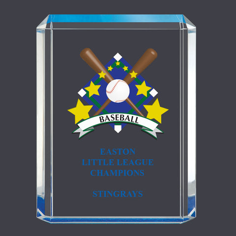 4-3/4" x 6-1/4" Custom Full Color Blue Shimmer Acrylic Award