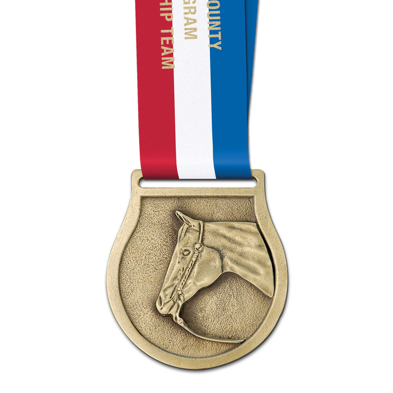 2-1/2" VX Award Medal With Specialty Satin Neck Ribbon