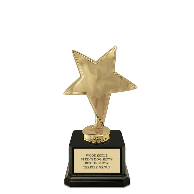 7" Star Award Trophy With Square Base