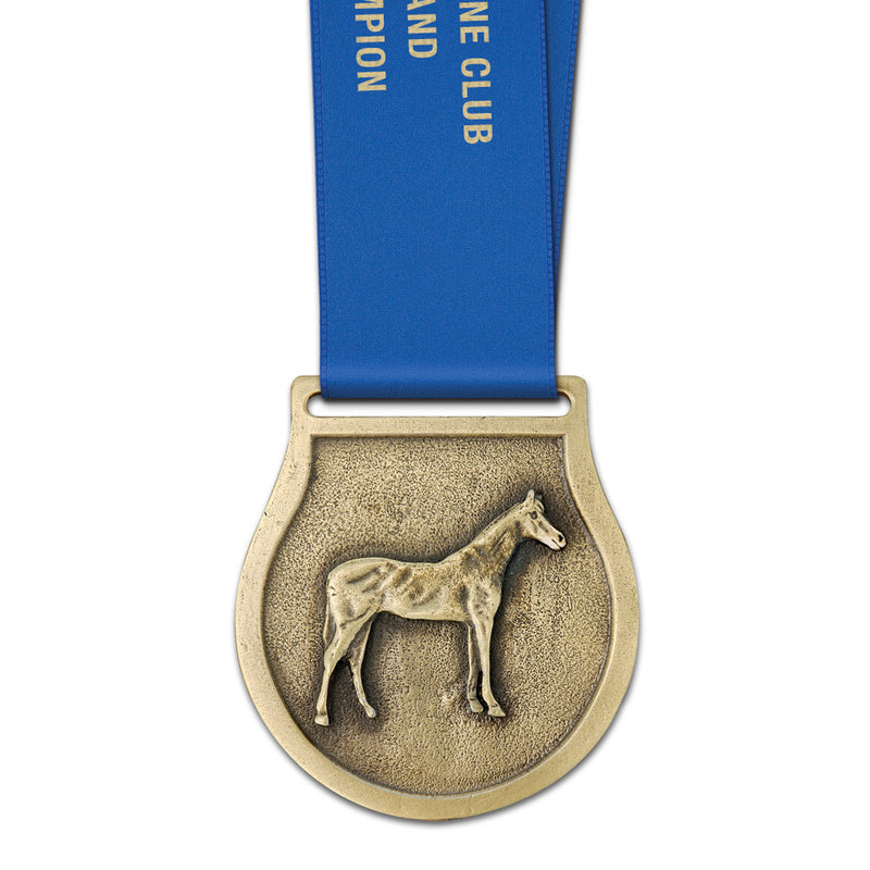 2-1/2" VX Award Medal With Satin Neck Ribbon