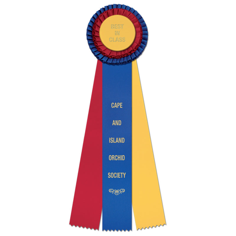 Chester 3 Rosette Award Ribbon