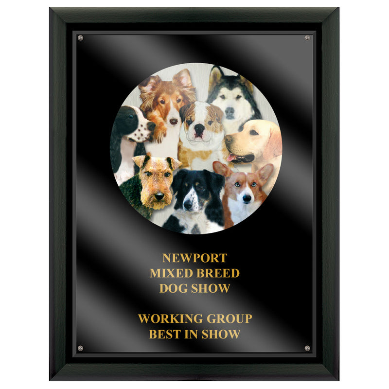 7" x 9" Custom Full Color Black Plaque With Acrylic Overlay