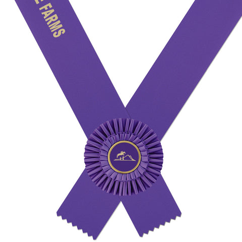 Custom Shannon Rider's Award Sash