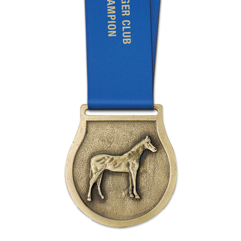 2-1/2" VX Award Medal With Satin Neck Ribbon