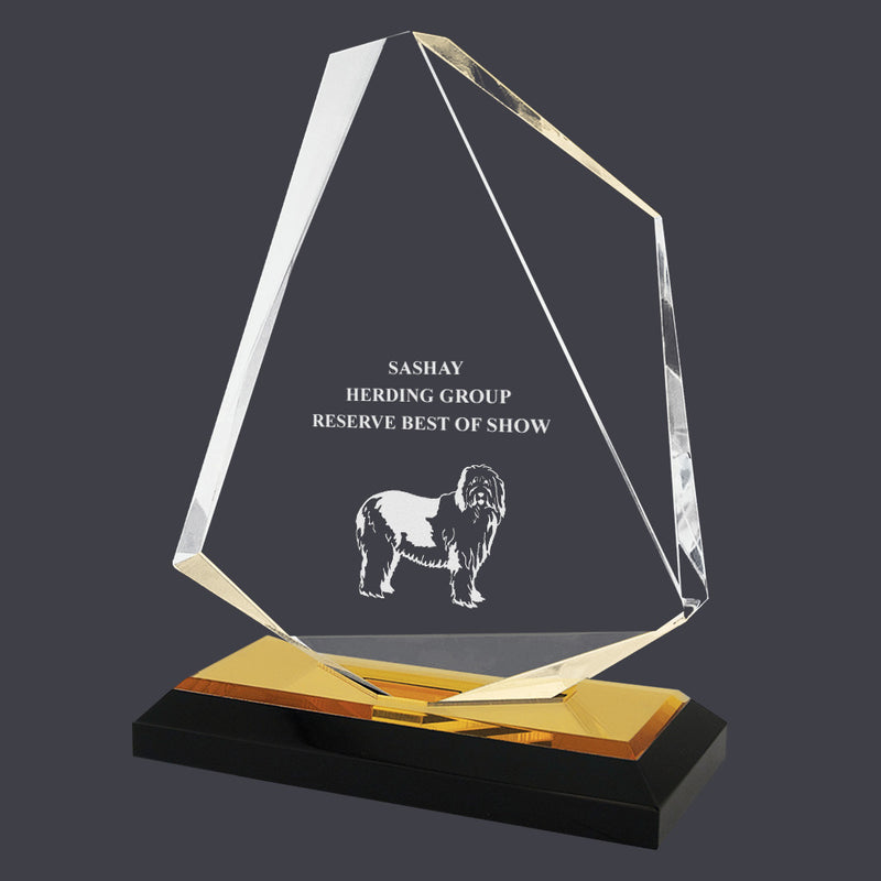 7" Custom Engraved Summit Acrylic Award